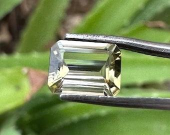 Green Tourmaline Cut Stone, Octagon Gemstone, 1.30 Carats (8x6x3 MM)