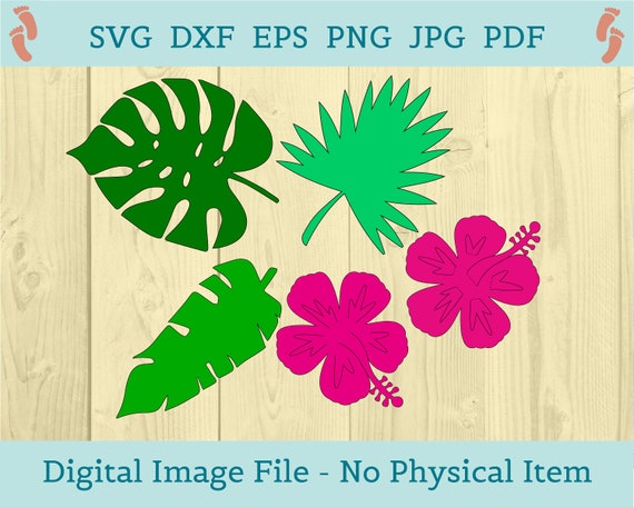 Hibiscus SVG With Tropical Leaf Svg Includes 3d Flower - Etsy