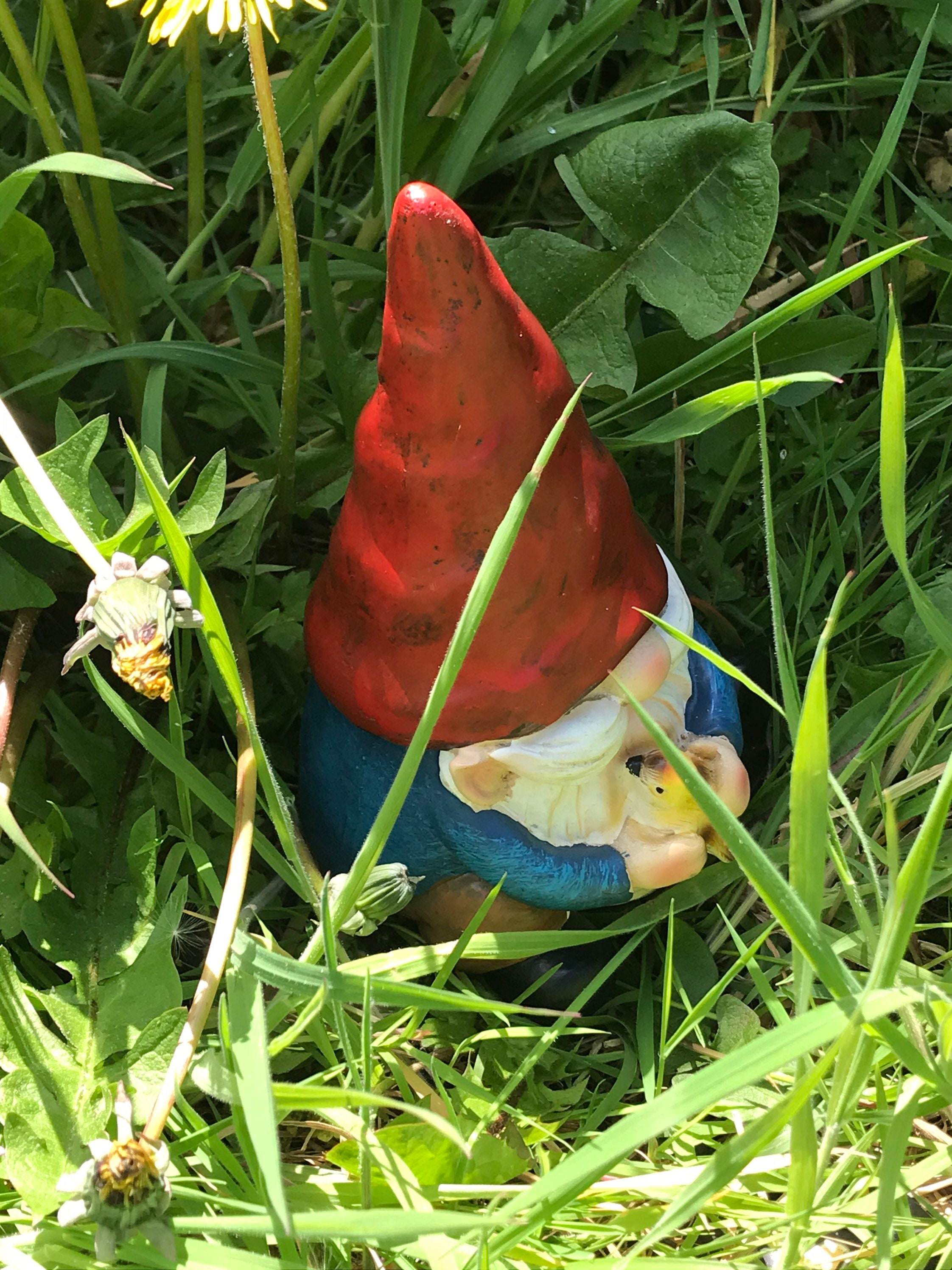 Gnome Mold Hand Brushed Latex Mould to Create This Garden Etsy