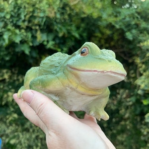 Könnte beinhalten: Eine grüne Froschfigur mit weißem Bauch und braunen Augen. Der Frosch sitzt auf einer Hand.
