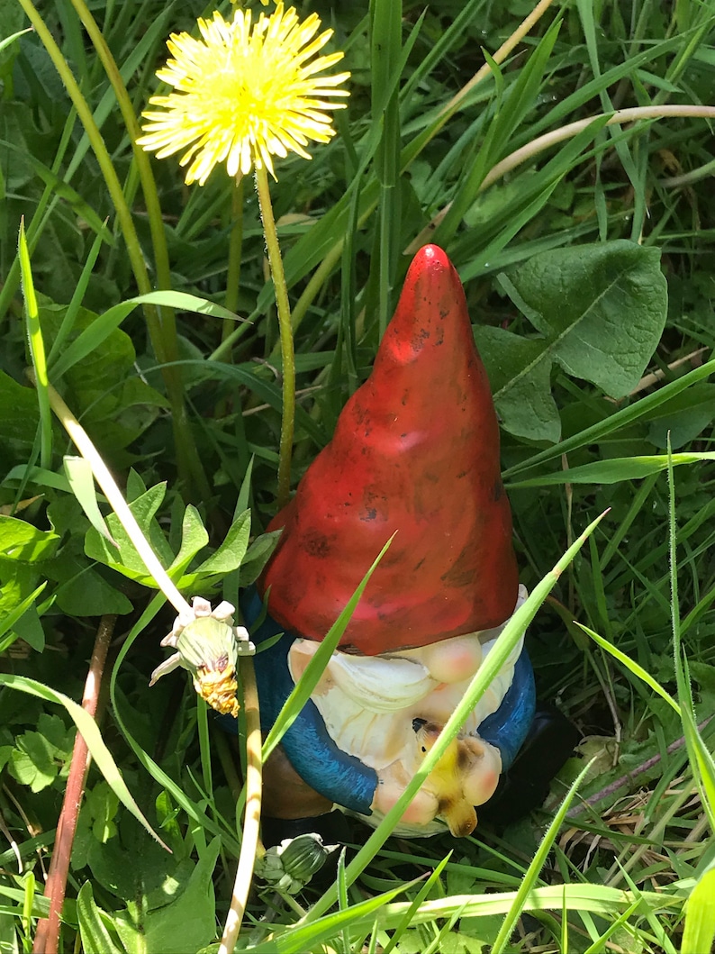 Gnome Mold Hand Brushed Latex Mould to Create This Garden Etsy