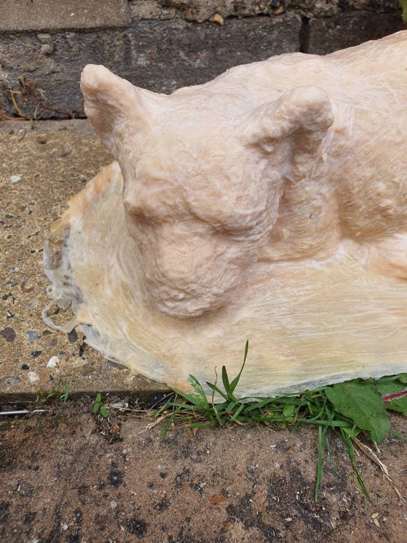 Latex Mould to make Dog wall plaque garden ornament