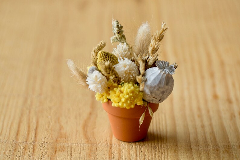 Small pot of dried flowers