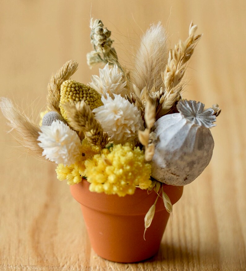 Small pot of dried flowers