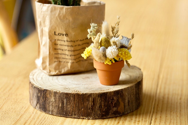 Small pot of dried flowers