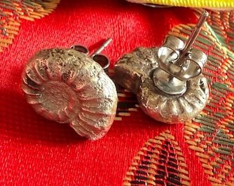 Sterling Silver Ammonite Earrings Cast from 180 Million Year Old Fossil