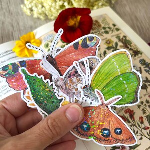 Aufkleber Schmetterling Aquarell | 6er Set