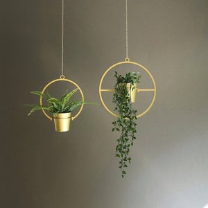 May include: Two gold metal hanging planters with circular frames and chains. The planters are holding green plants.