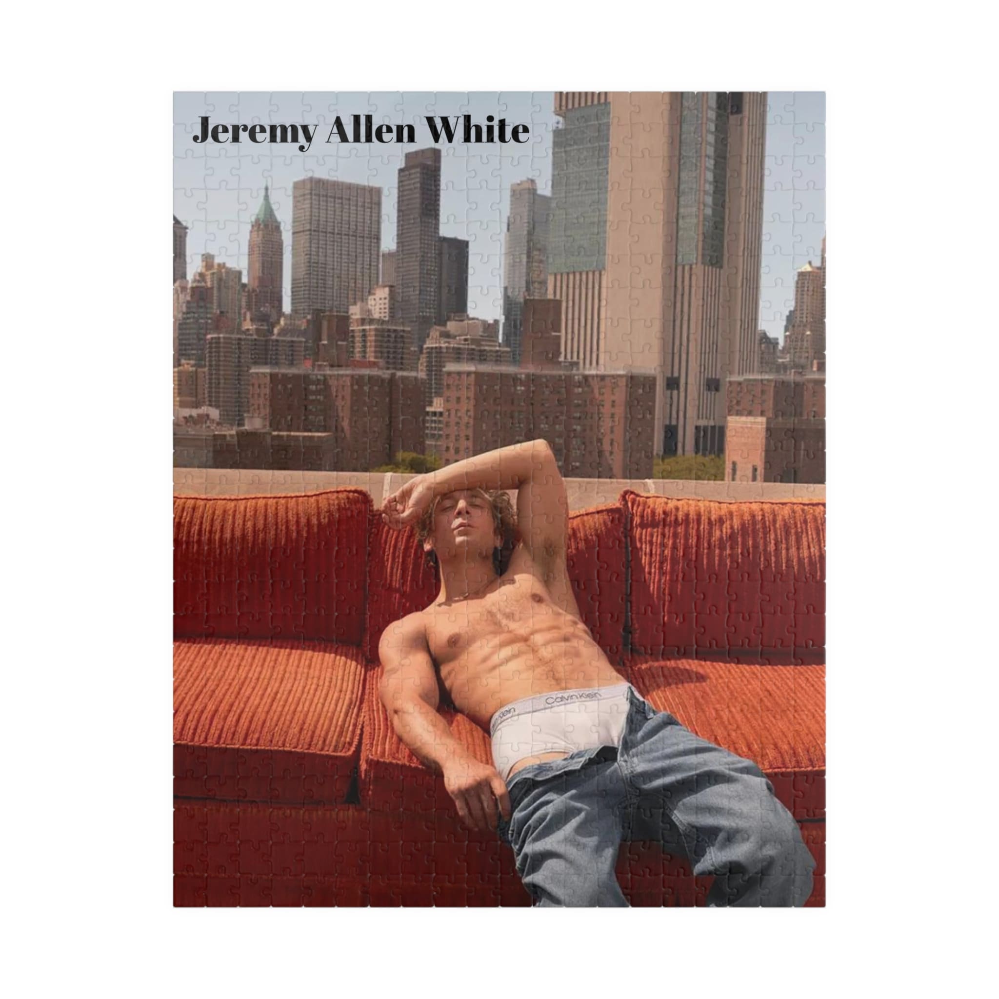 Jeremy Gift Jeremy Allen White Calvin Klein Jigsaw Puzzle Yes Chef the Bear Hulu ...