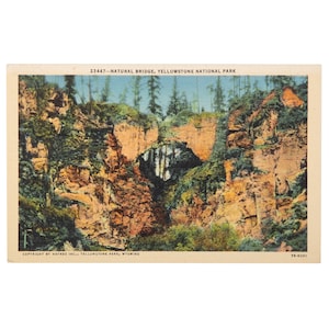 Vintage Wyoming Postcard, Natural Bridge, Yellowstone National Park