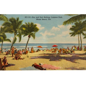 Vintage Florida Postcard, Miami Beach, Lummus Park