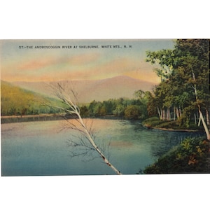 Vintage Postcard, White Mountains, New Hampshire, Androscoggin River at Shelburne