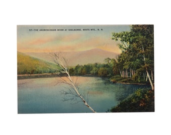 Vintage Postcard, White Mountains, New Hampshire, Androscoggin River at Shelburne