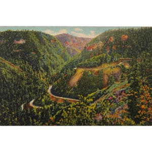 Vintage Arizona Photograph Postcard, Oak Creek Canyon