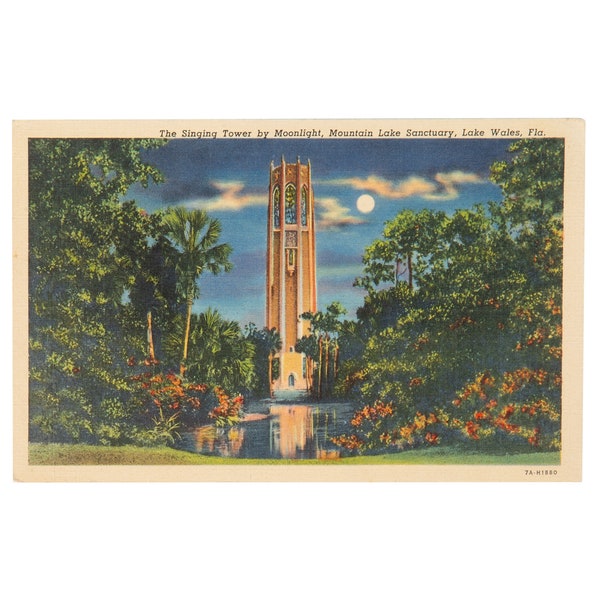 Vintage Florida Postcard, The Singing Tower by Moonlight, Mountain Lake Sanctuary, Lake Wales, FL