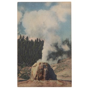 Vintage Postcard, Yellowstone National Park, Wyoming, Lone Star Geyser