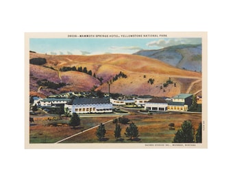 Vintage Yellowstone Postcard, Mammoth Springs Hotel, Yellowstone National Park, Wyoming, Mammoth Hot Springs