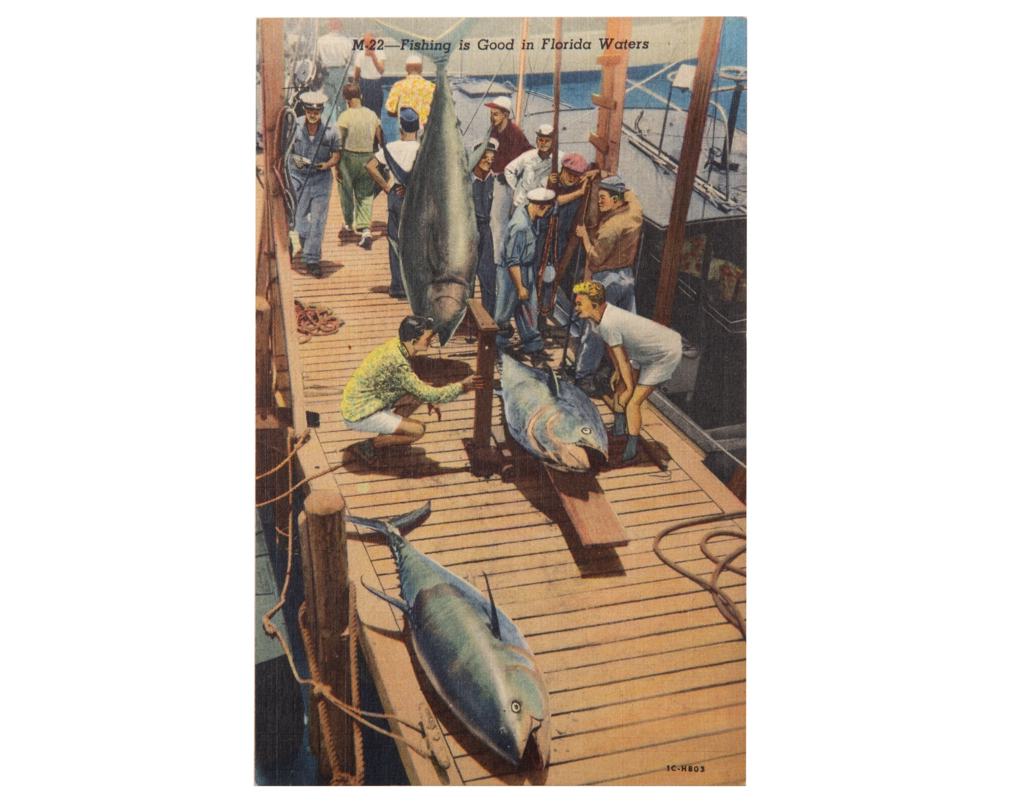 Snook Wall Art Print Birthday Fishing Gifts for a Saltwater