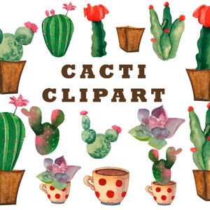 Lot de succulentes cliparts avec fleurs aquarelles - téléchargement immédiat, ensemble de cliparts floraux aquarelle plante d'intérieur - graphiques botaniques