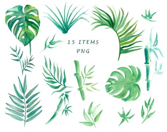 floral clipart.  bamboo art.  watercolor tropical clipart. PNG