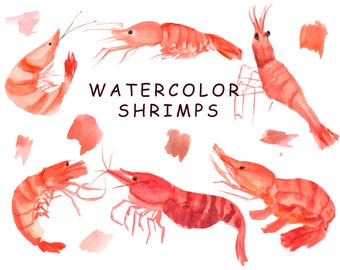 Watercolor Shrimps clipart. Hand drawn seafood illustration