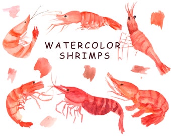 Watercolor Shrimps clipart. Hand drawn seafood illustration