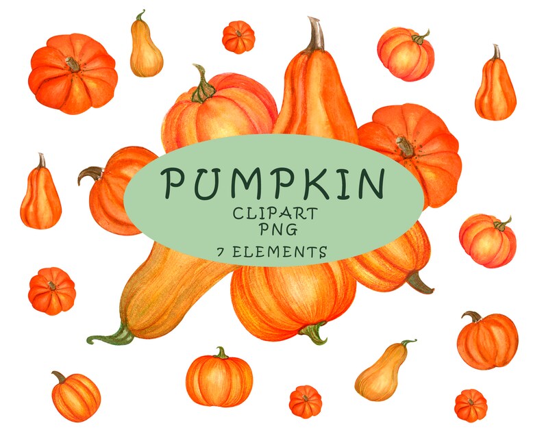 watercolor pumpkin clipart Digital Clipart watercolor autumn fall clipart PNG