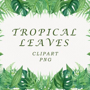 May include: A digital illustration of a border of tropical leaves in shades of green. The text "TROPICAL LEAVES CLIPART PNG" is in the center of the image.