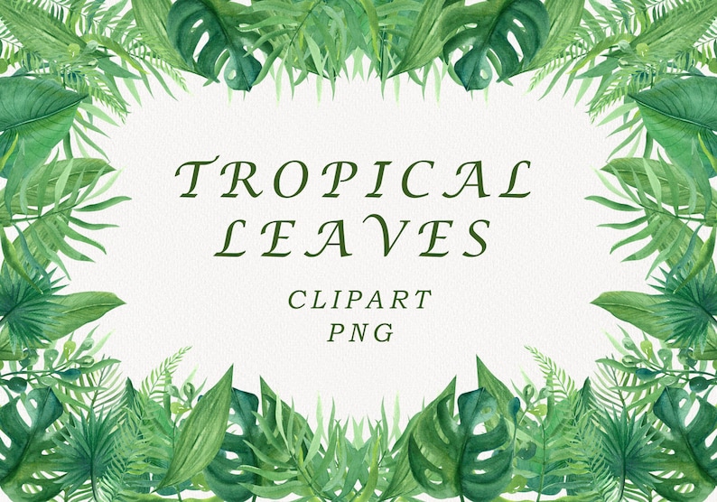 May include: A digital illustration of a border of tropical leaves in shades of green. The text "TROPICAL LEAVES CLIPART PNG" is in the center of the image.
