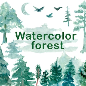 Aquarelle de paysage forestier, clipart de pins forestiers