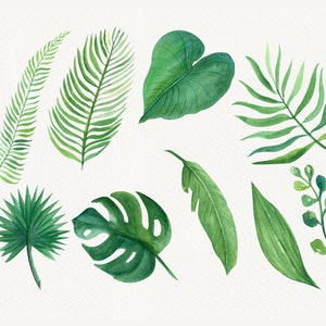 May include: Watercolor painting of various green tropical leaves, including palm, monstera, and fern leaves.