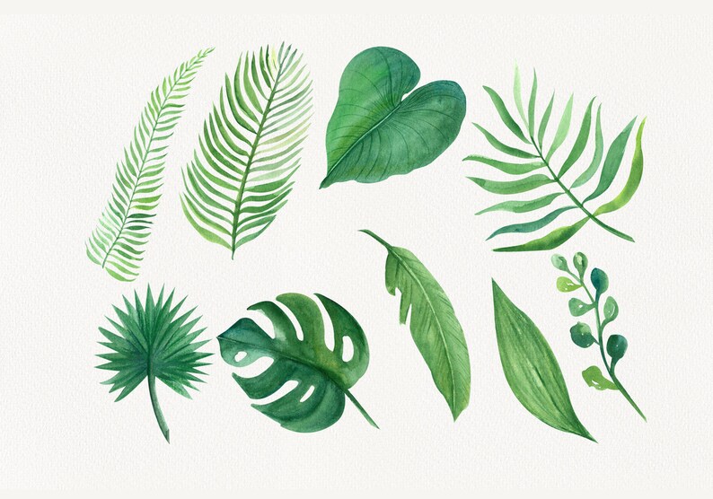 May include: Watercolor painting of various green tropical leaves, including palm, monstera, and fern leaves.