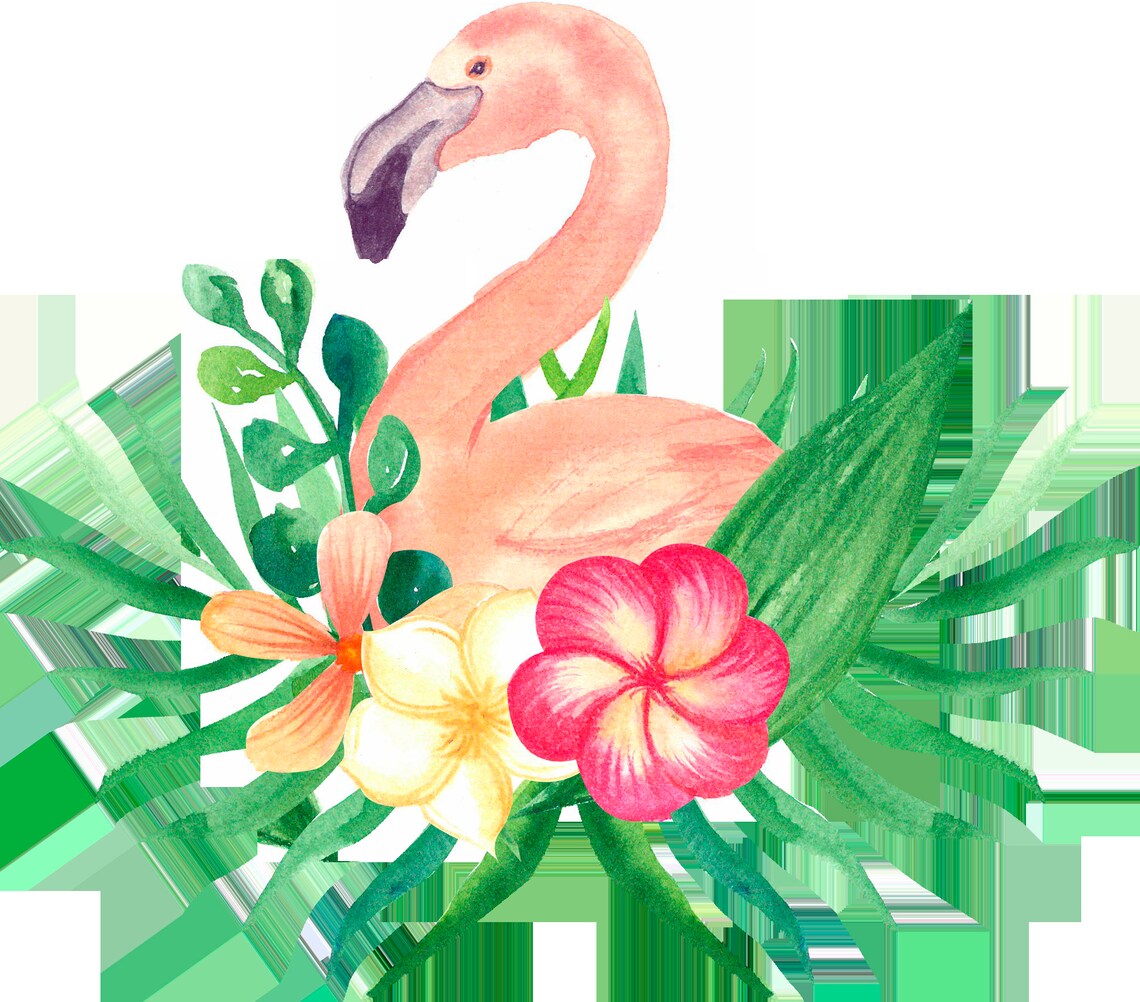 flamingo clipart watercolor