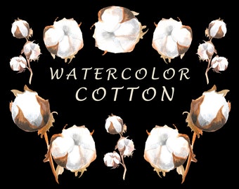 Watercolor Cotton Flower Clipart: PNG Floral Graphics (Digital Download)