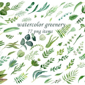Conjunto de imágenes prediseñadas de hojas verdes de acuarela: imágenes prediseñadas de flores de eucalipto florales