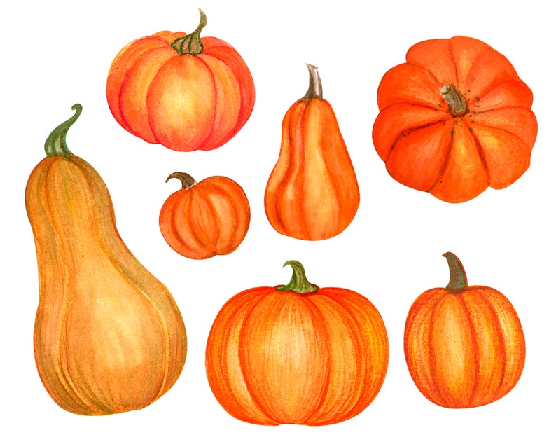 watercolor pumpkin clipart Digital Clipart watercolor autumn fall clipart PNG