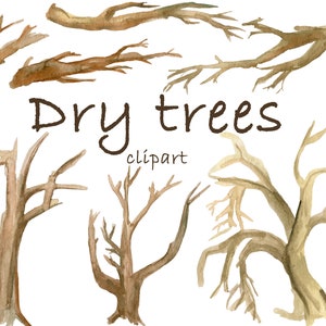 Puede incluir: Clipart de acuarela de árboles secos en varias formas y tamaños. Los árboles están pintados en tonos marrones y beige, con algunas ramas que se extienden hacia afuera. El texto "Dry trees clipart" está escrito en marrón debajo de los árboles.
