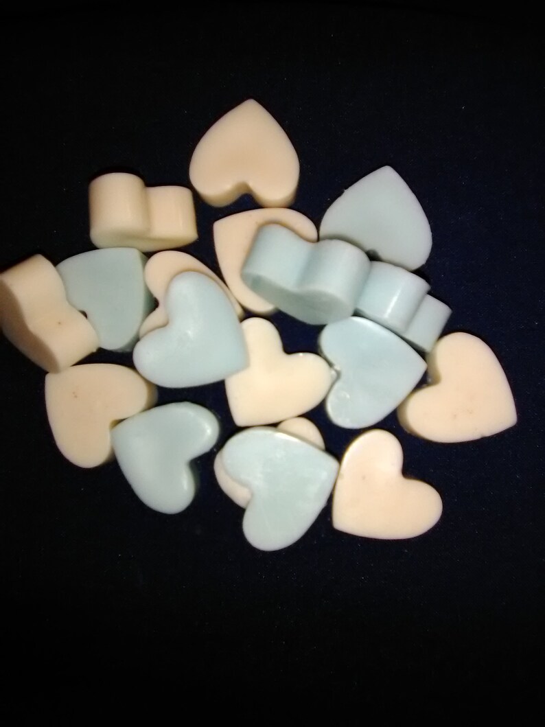 cats and more FREE shipping hearts 30 Soy wax Eucalyptus mini melting tarts 6 shape choices seaside