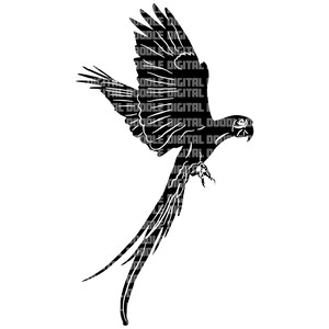 May include: Black silhouette of a parrot in flight with its wings spread and tail feathers trailing behind it.