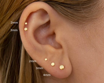 Sierlijke Disc Studs - Flat Circle Stud Oorbellen - Zilvergouden Studs - Kleine Studs - Sierlijke Ronde Studs - Kleine Stud Oorbellen (PAAR)