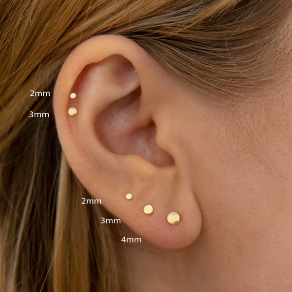 Sierlijke Disc Studs - Flat Circle Stud Oorbellen - Zilvergouden Studs - Kleine Studs - Sierlijke Ronde Studs - Kleine Stud Oorbellen (PAAR)