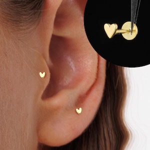 Labret con rosca interna en forma de corazón • piercing para trago • aretes de caracola • piercing para cartílago de hélice • piercing para labio con parte posterior plana • piercing para nariz