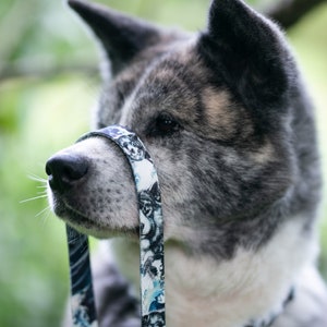 Japanese Akita Inu leash with Wave pattern on vibrant background 2.5cm width