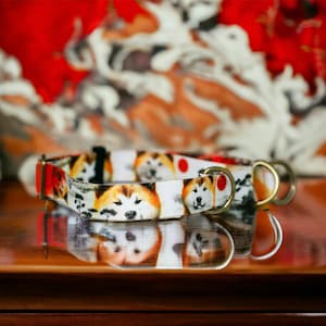 Red Japanese Akita Inu on vibrant background. 2.5 cm wide