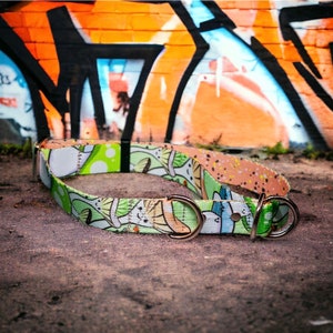 Mushroom collar, funky, colourful design, 2.5cm wide, buckle, half choke, martingale.