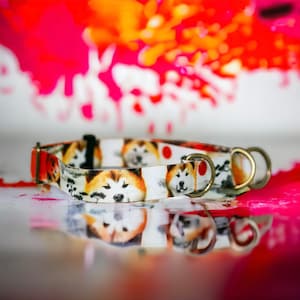Red Japanese Akita Inu on vibrant background. 3 cm wide