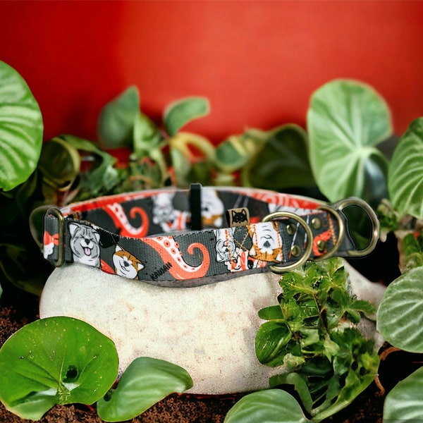 Motif sushi, bringé et collier japonais rouge Akita Inu avec une variété de tailles