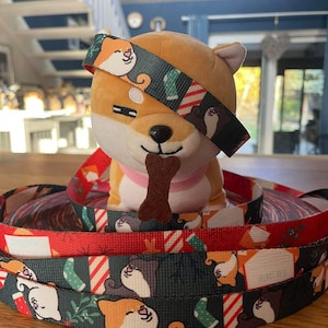 Shiba Inu Pattern collar with variety of sizes and hardware 2.5cm wide
