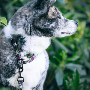 Brindle Mingle Akita Inu adjustable leash