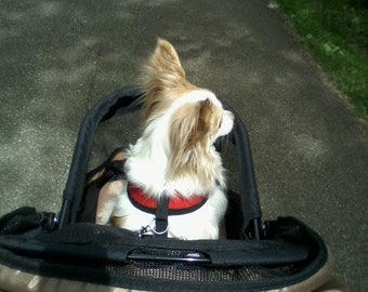 Add Halter Access to your Little Dog Togs'  Coat at time of purchase